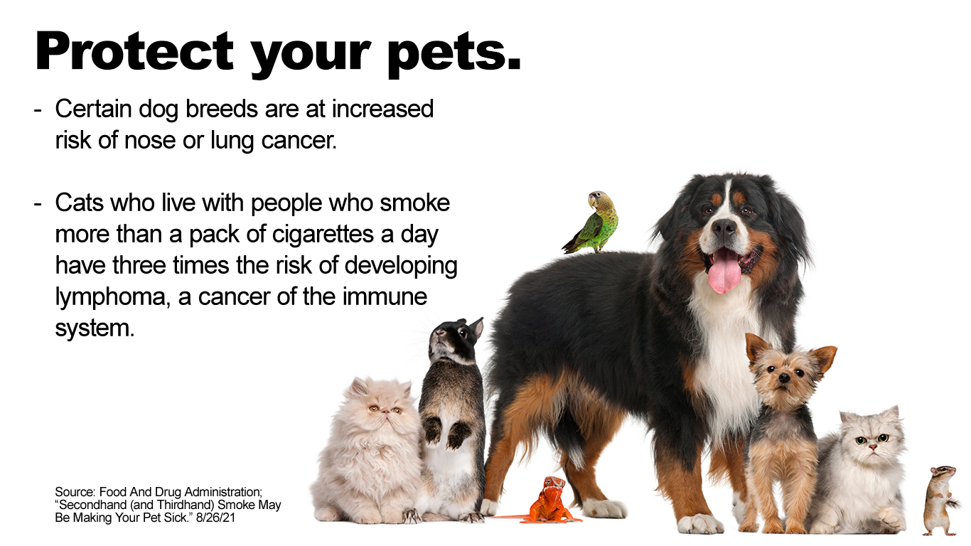 Secondhand smoke and pets